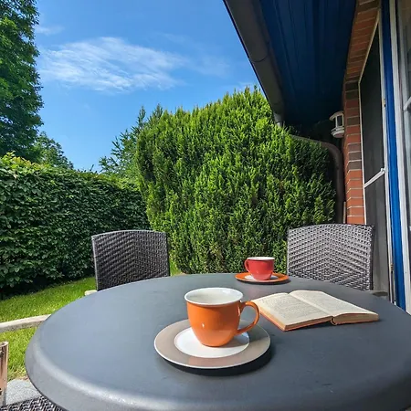 Apartment Auster Born